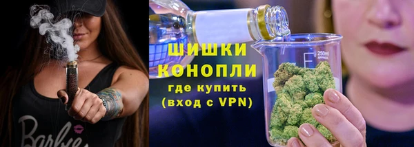 шишки Краснослободск