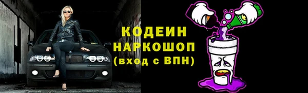 шишки Краснослободск