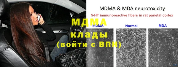 шишки Краснослободск