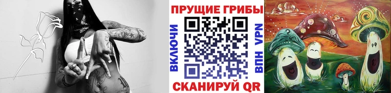 Псилоцибиновые грибы Psilocybe  купить наркотик  Северо-Курильск 
