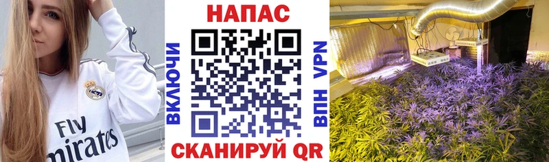 МАРИХУАНА SATIVA & INDICA Северо-Курильск